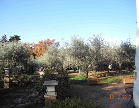 Immagine lotto