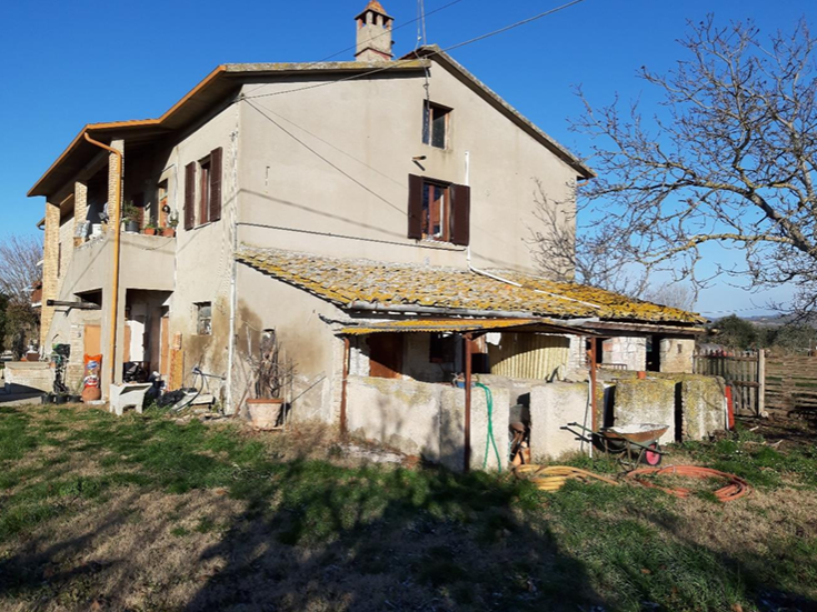 Immagine lotto